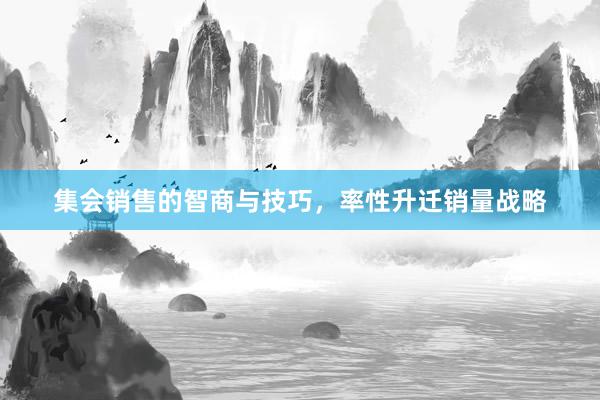 集会销售的智商与技巧，率性升迁销量战略